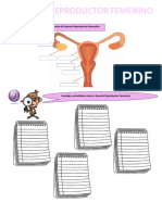 PRACTICA 2- Aparato Reproductor Femenino