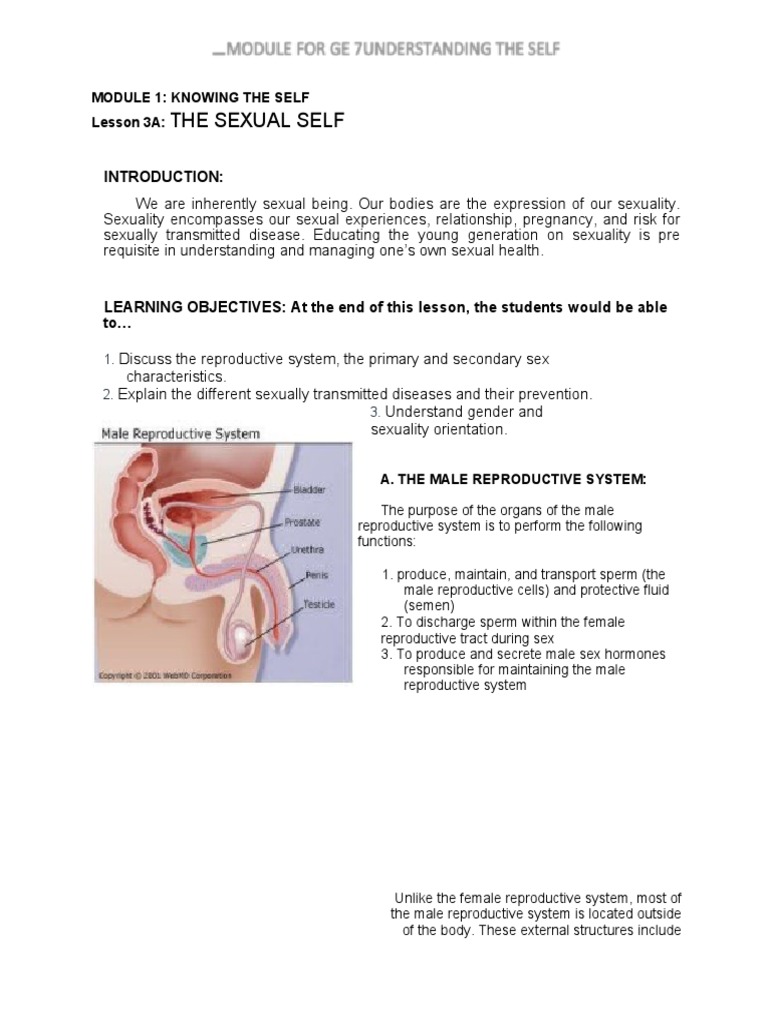 MODULE 1 Lesson 3A The Sexual