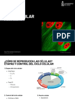 U2 - Sesión 12 - Ciclo celular