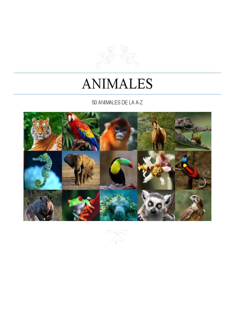Lista de 50 Animales A-Z | PDF | Burro | Caballos