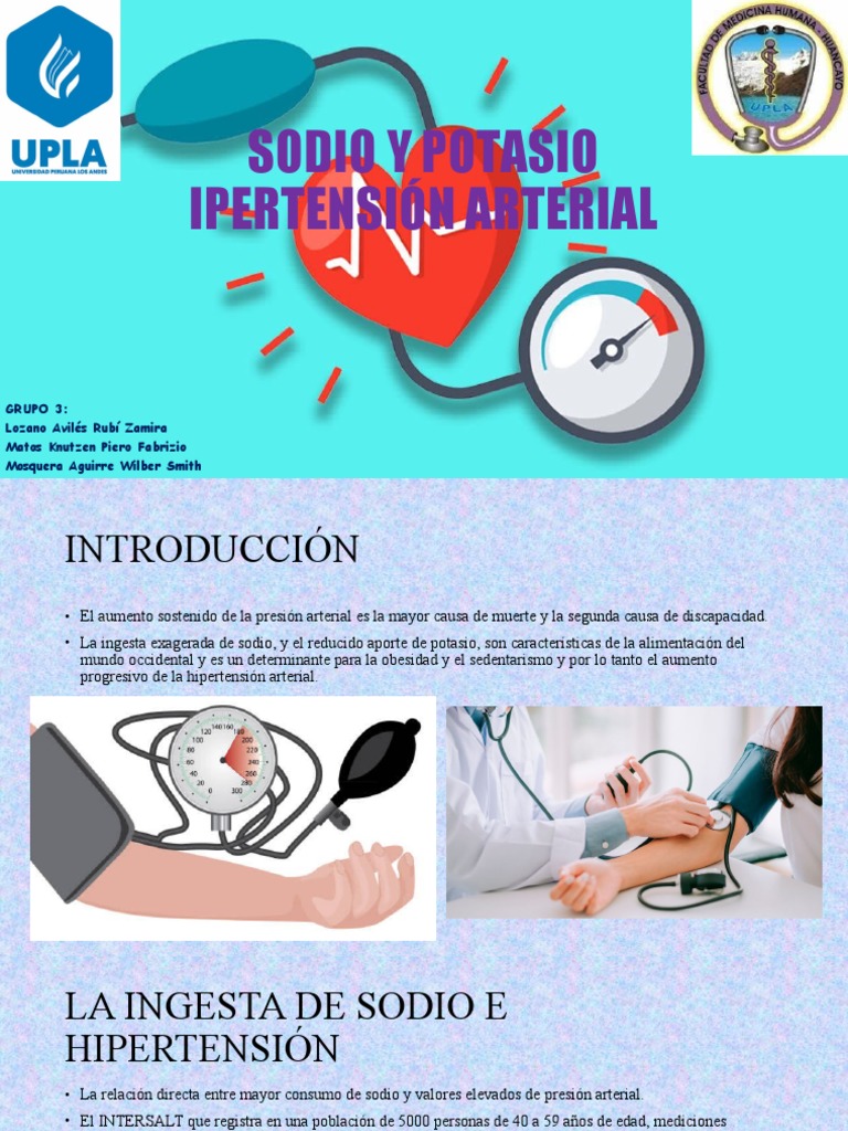 Sodio y Potasio Ipertensión Arterial | PDF | Sodio | Hipertensión