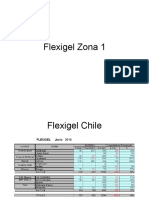 Flexigel Chile