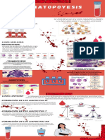 HEMATOPOYESIS