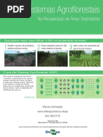 Sistemas Agroflorestais Em Areas Degradadas Embrapa