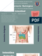 Resección Intestinal