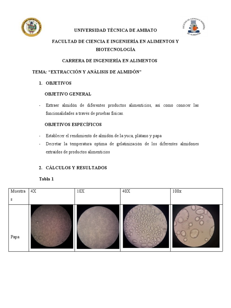 Extracción y Análisis de Almidón | PDF | Almidón | Química