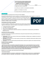 Guía 4 Del Tercer Periodo (Español)