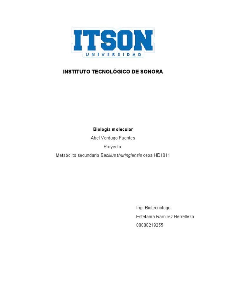 Metabolito Secundario PDF Bacilo Biotecnología