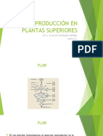 Reproducción en Plantas Superiores