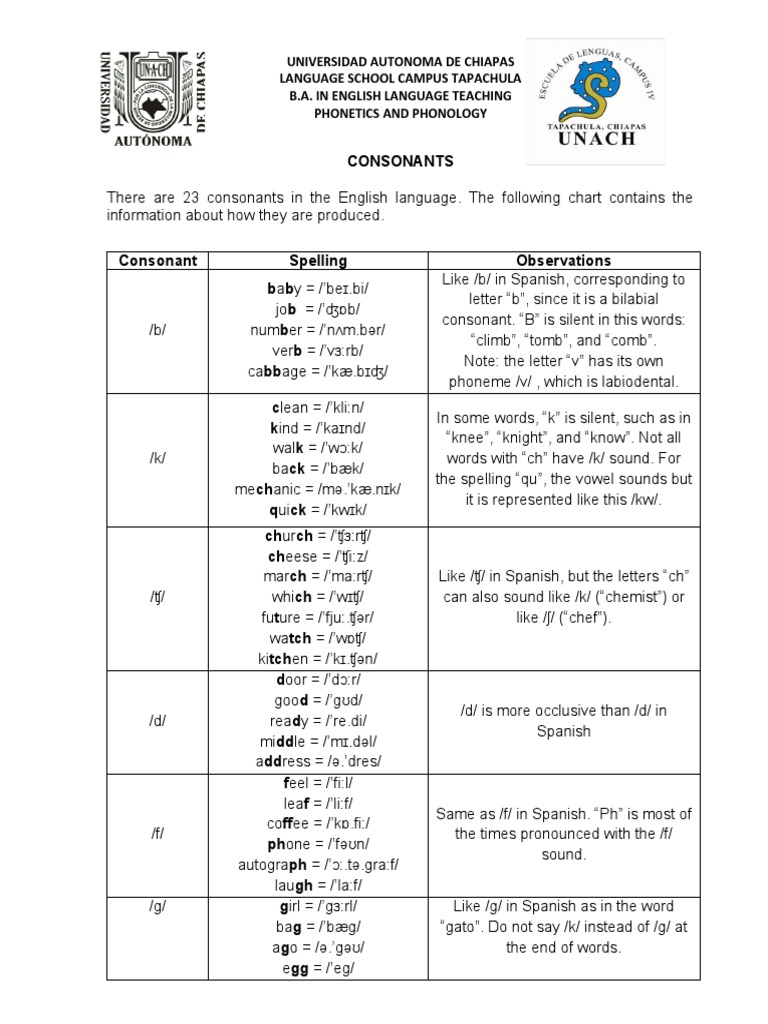 Consonant intelligence overview