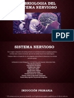 Embriologia Del Sistema Nervioso