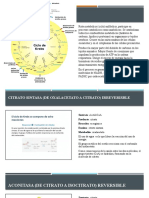 Ciclo de Krebs