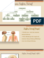 Sistem Saraf Pusat dan Bagiannya