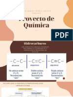 Proyecto Química-Lizette Cortés