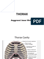 Thorax Cavity