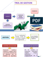 Control de Gestion