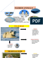 Endangered Animals Guide