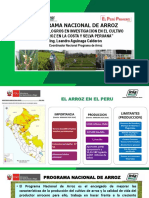 Avances y Logros en Investigacion en El Cultivo de Arroz en La Costa y Selva Peruana