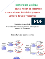 Tema 6. Estructura y Función de Endomembranas