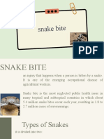 Snake Bite