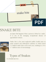 Snake Bite Symptoms, Types, and First Aid
