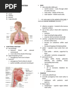 Respiratory System