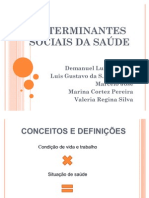 Seminário - Determinantes Sociais Da Saúde