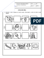 Ciclo de Vida - Animais e Plantas