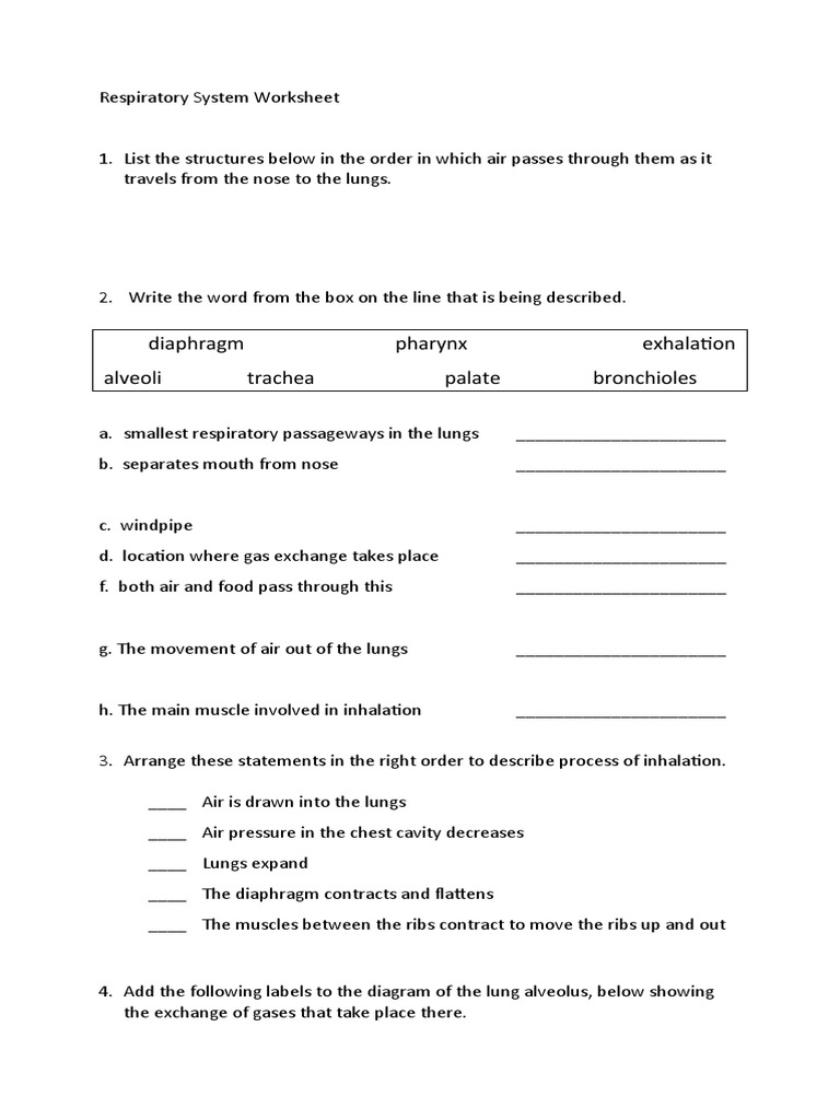 Respiratory system intelligence overview