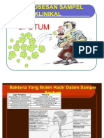 Pemprosesan Sampel Klinikal Modified