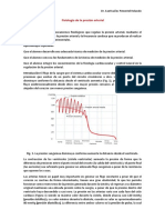 Fisiología de la presión arterial: ruidos de Korotkoff y regulación