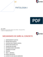 1 Patologia I - Asentamiento Plastico