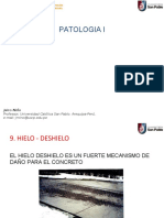 9 Patologia I - 1 - Hielo - Deshielo