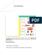 Seres Vivos Niveles de Organización