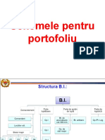 Scheme Portofoliu T1-3