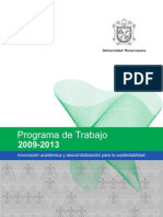 Programadetrabajo2009 2013