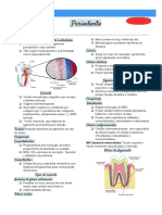 O Periodonto (Resumo Rápido)