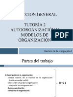 Tutoría 2 - Autoorganización y Modelos