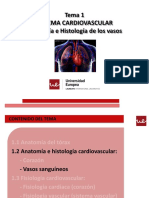 1.2.2_anatomia e Histologia de Los Vasosvs4