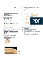 The Skeletal System