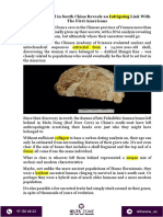 A Strange Fossil in South China Reveals An Intriguing Link With