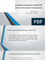 Sistem Pendokumentasian Model PIE