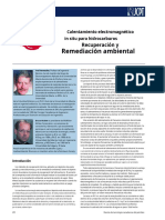 In-Situ Electromagnetic Heating For Hydrocarbon Recovery and Environmental Remediation - En.es