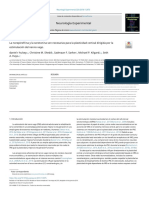 Traducido Norepinefrina y Dopamina en Plasticidad - En.es