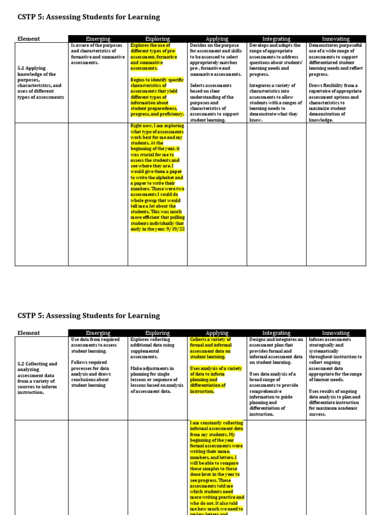 CSTP 5 Whetstone 9 PDF Educational Assessment Differentiated
