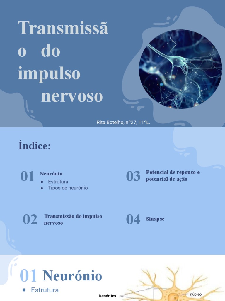 Transmissão do Impulso Nervoso | PDF