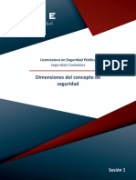 Dimensiones Del Concepto de Seguridad: Licenciatura en Seguridad Pública