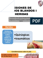 Lesiones de Tejidos Blandos I. Heridas-Dr. Olazabal