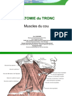 Myotronc04 20111115