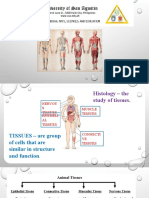 Animal Tissues